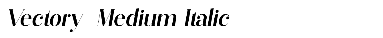 Vectory  Medium Italic